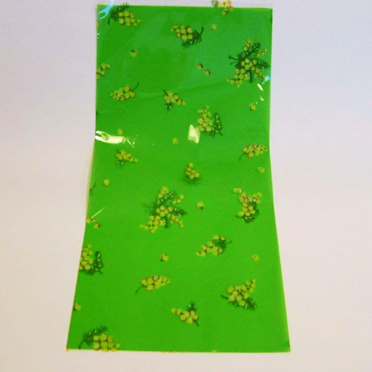 ITALPAK-Shop-Confezionamento-Fogli in Cellophane-Cnf. 100pz Maniche Mimosa ladies cm 15 x 30 Cellophane  verde prato-100